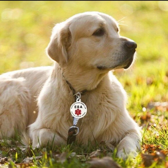 ✨3for$38 New Stainless Steel Silver ESA Service Animal Identification Charm - Picture 9 of 11